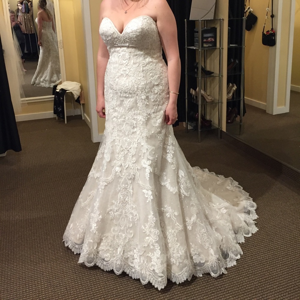 Kenneth Winston gown size 16- fits 12/14 with veil